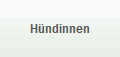 Hndinnen