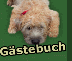 Gstebuch