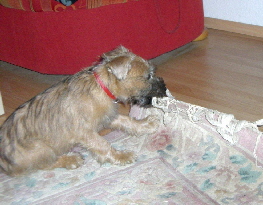 25092011