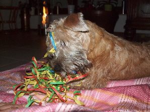 311220112