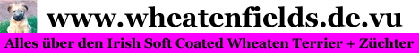 Bannerwheatenfields