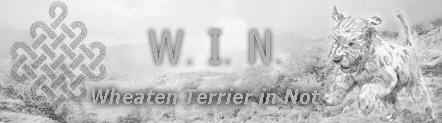 WINBanner1aKopie