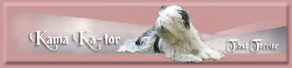 kama_ka-tor_banner