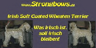 strongbows_banner_kl